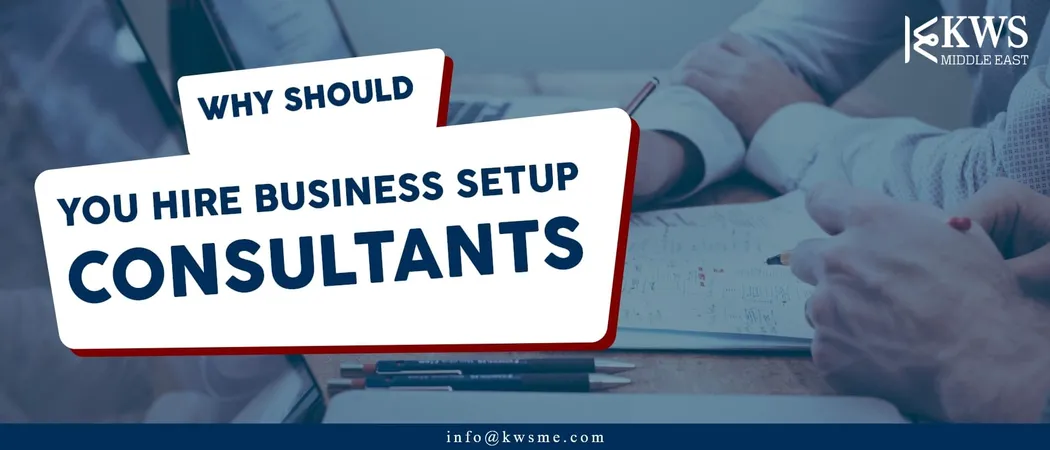 Why should you hire business setup consultants?