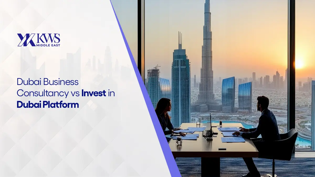 Dubai Business Consultancy vs Invest in Dubai Platform