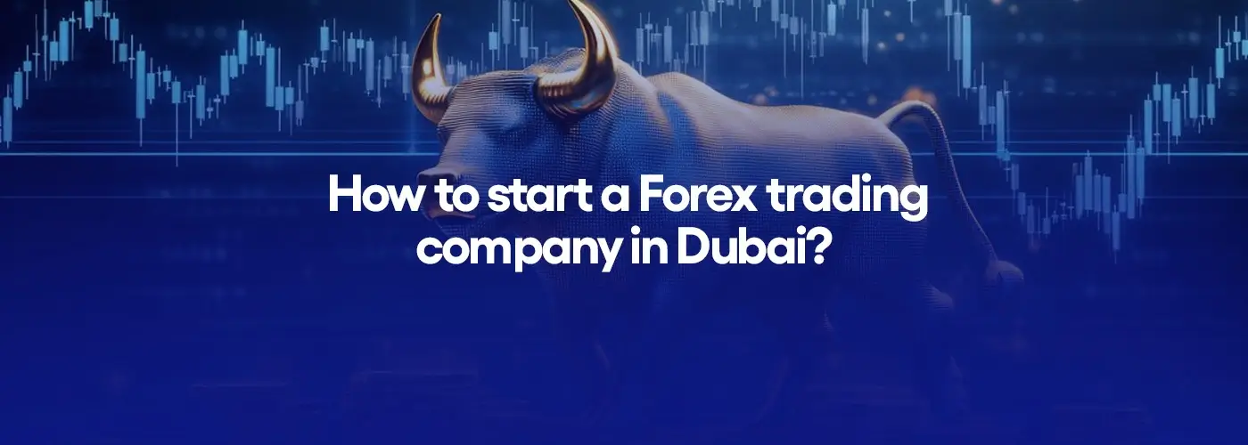 How to start a Forex trading company in Dubai?