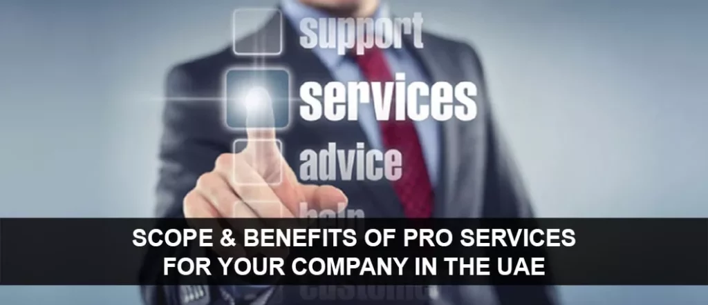 Scope and benefits of Pro services for your company in the UAE